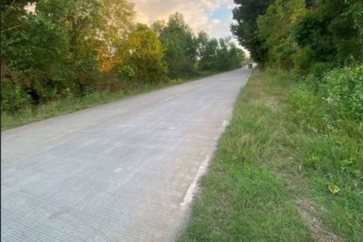 Land for Sale in San Isidro, Dauis, Bohol – photo 2
