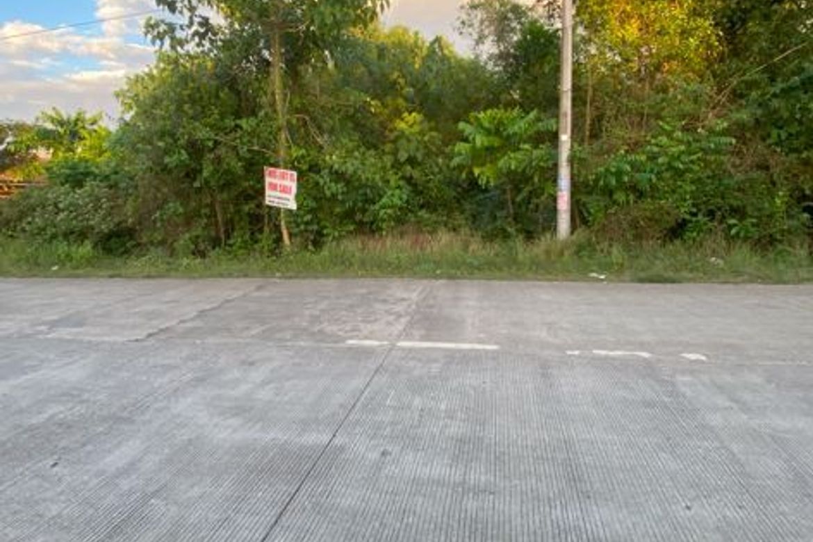 Land for Sale in San Isidro, Dauis, Bohol – photo 3