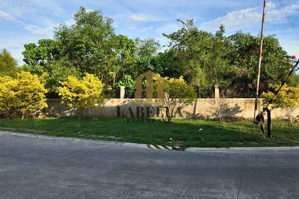 Land for Sale in San Isidro, Dauis, Bohol – photo 3