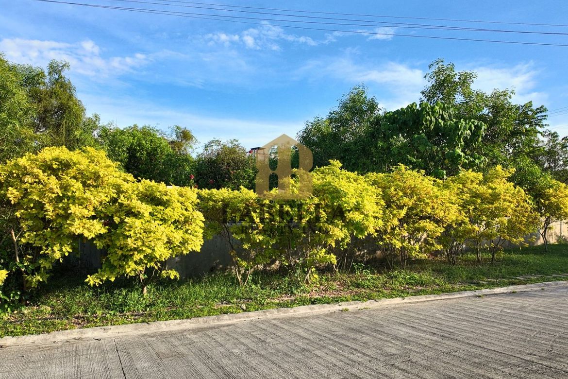 Land for Sale in San Isidro, Dauis, Bohol – photo 4