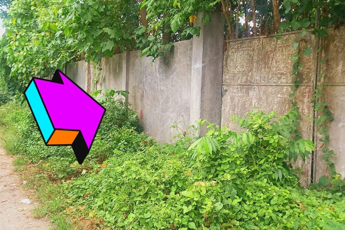 Land for Sale in San Isidro, General Santos, South Cotabato – photo 4