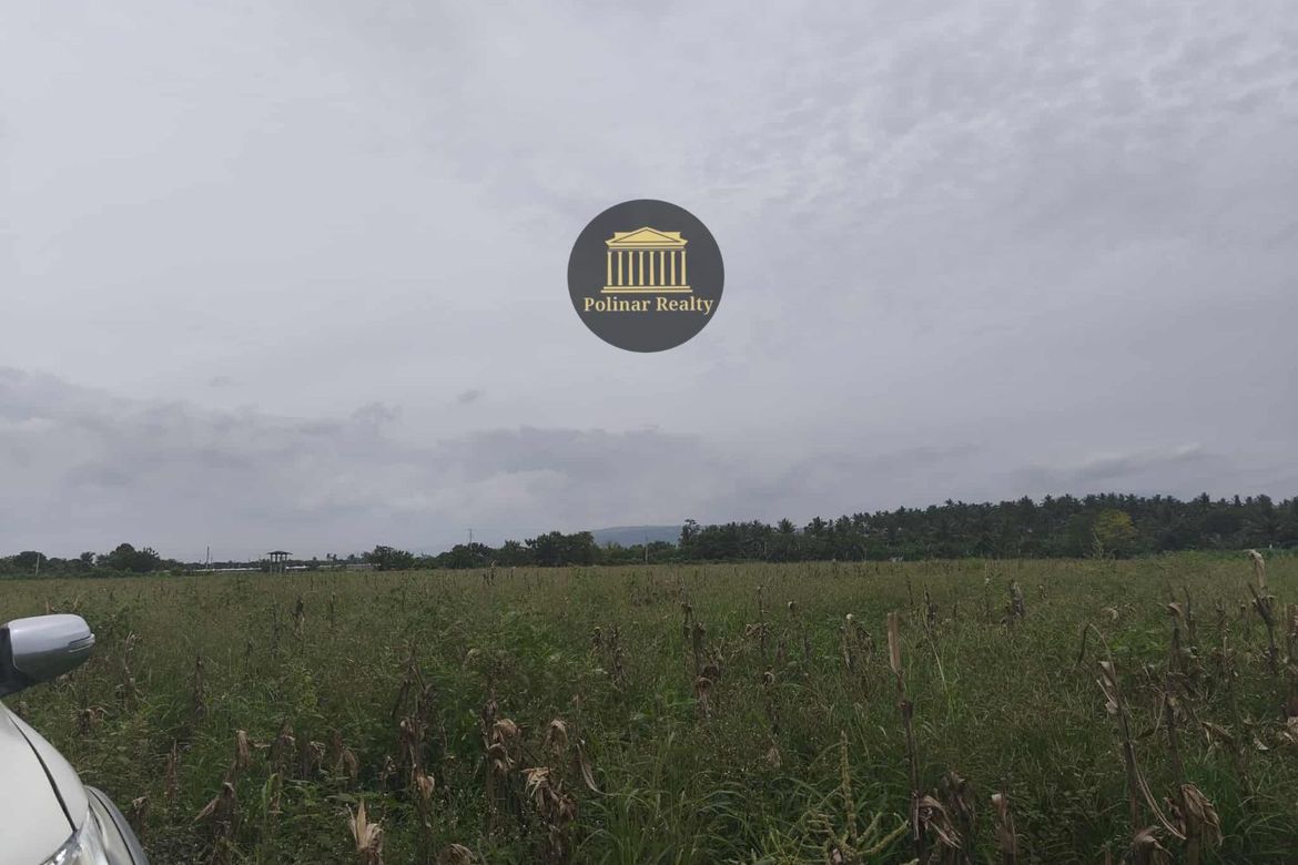 Land for Sale in San Isidro, General Santos, South Cotabato – photo 4