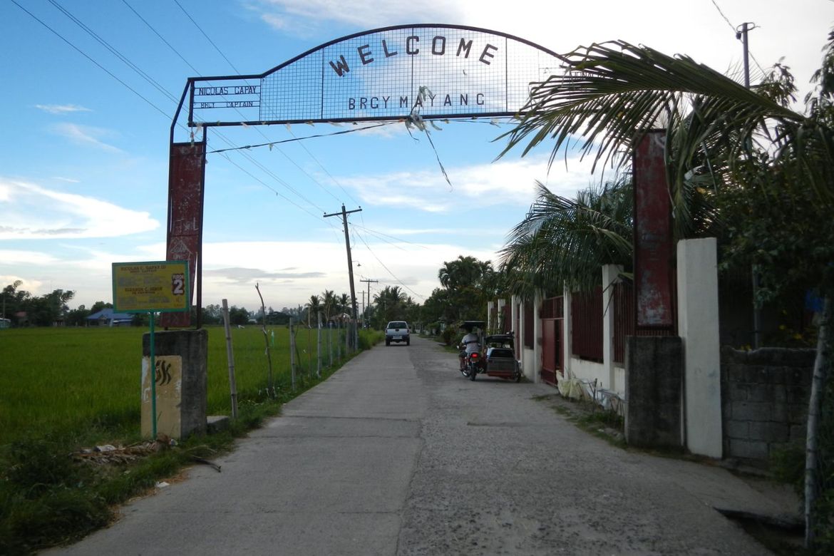 Land for Sale in San Isidro, La Paz, Tarlac – photo 3