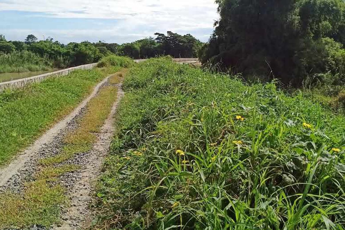 Land for Sale in San Isidro, La Paz, Tarlac