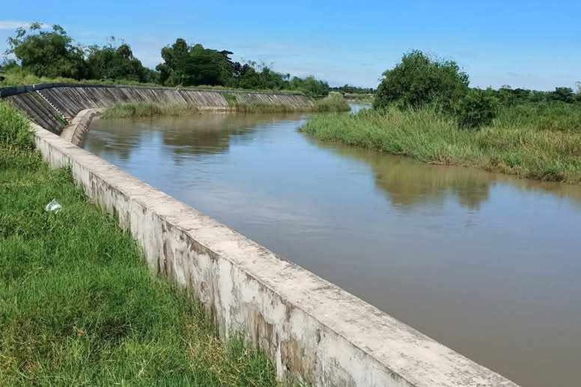 Land for Sale in San Isidro, La Paz, Tarlac – photo 2