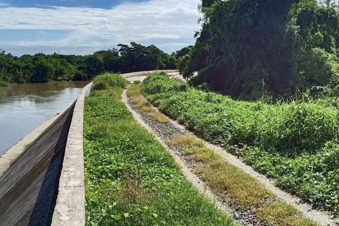 Land for Sale in San Isidro, La Paz, Tarlac – photo 5