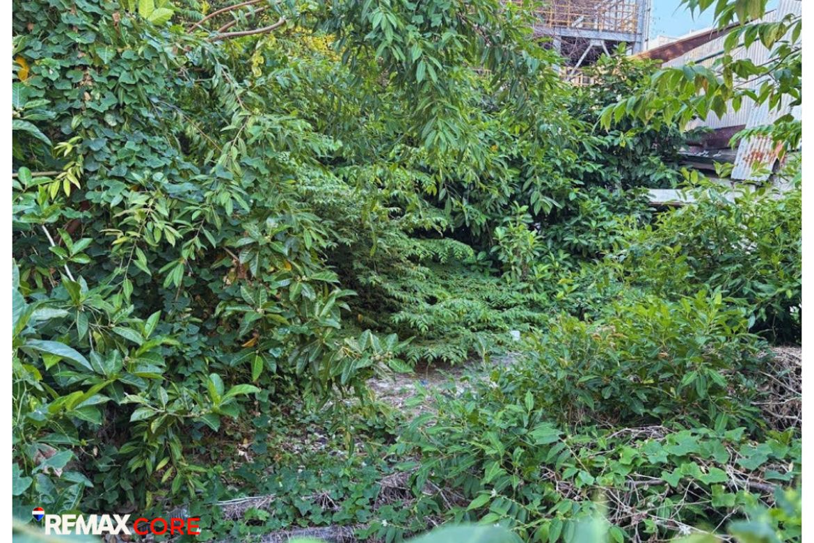 Land for Sale in San Isidro, Makati, Metro Manila – photo 3
