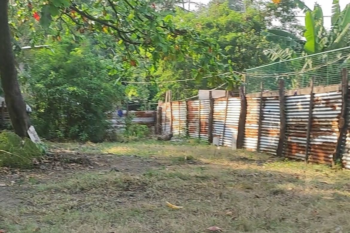 Land for Sale in San Isidro, Parañaque, Metro Manila