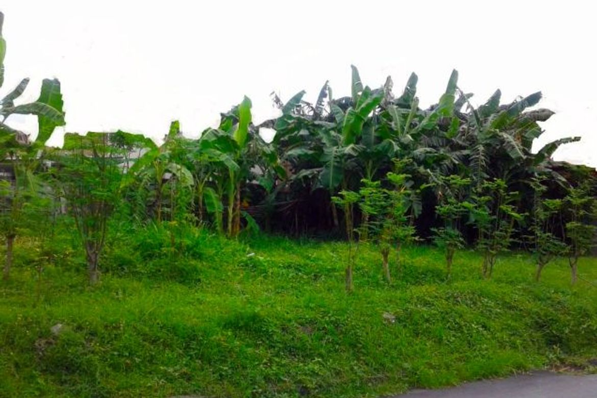 Land for Sale in San Isidro, Parañaque, Metro Manila – photo 7