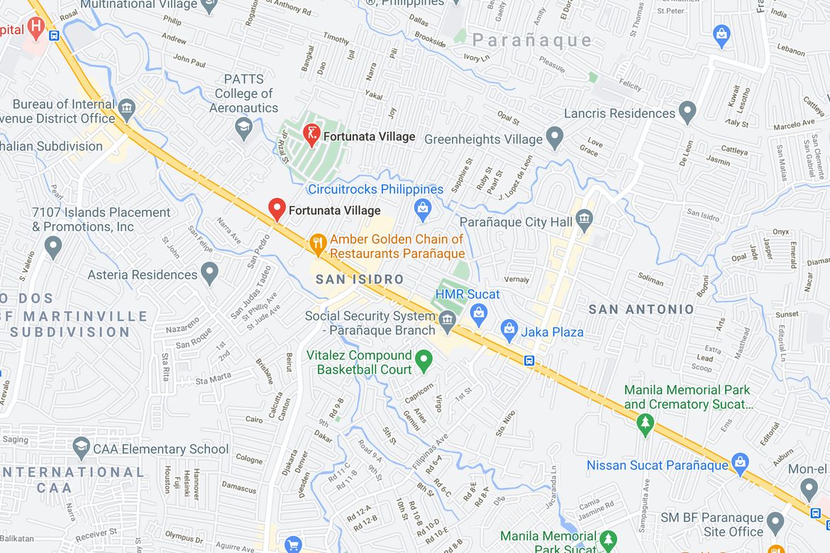 Land for Sale in San Isidro, Parañaque, Metro Manila – photo 4