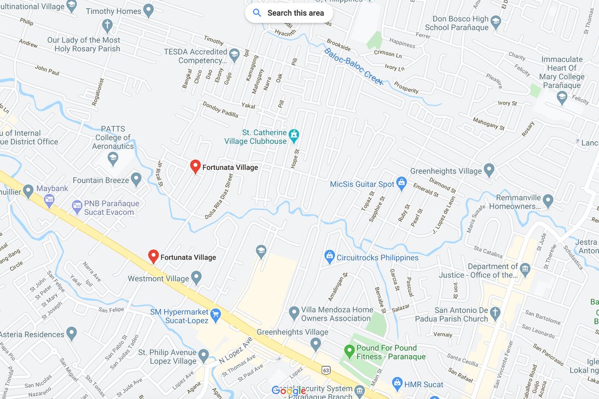 Land for Sale in San Isidro, Parañaque, Metro Manila – photo 5