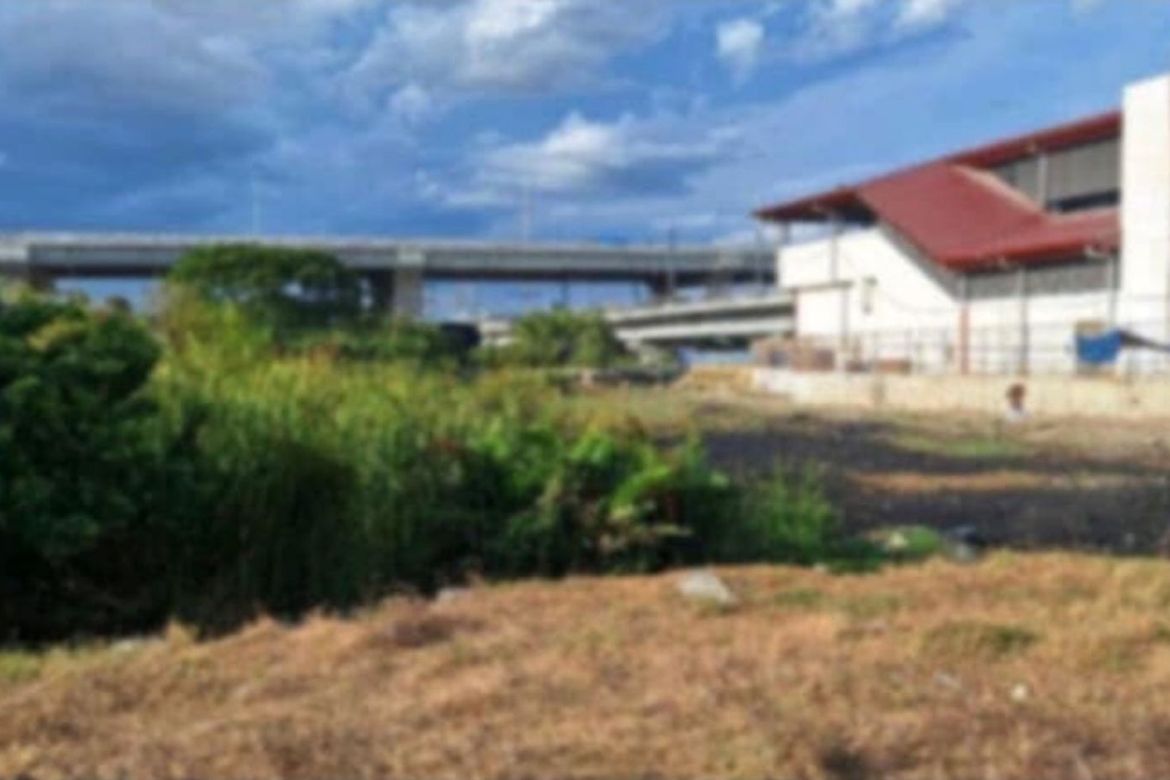 Land for Sale in San Isidro, Parañaque, Metro Manila – photo 3