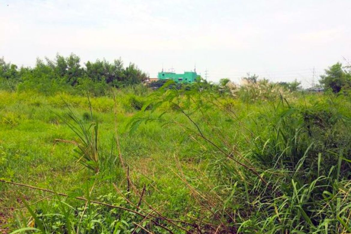 Land for Sale in San Isidro, Parañaque, Metro Manila – photo 5