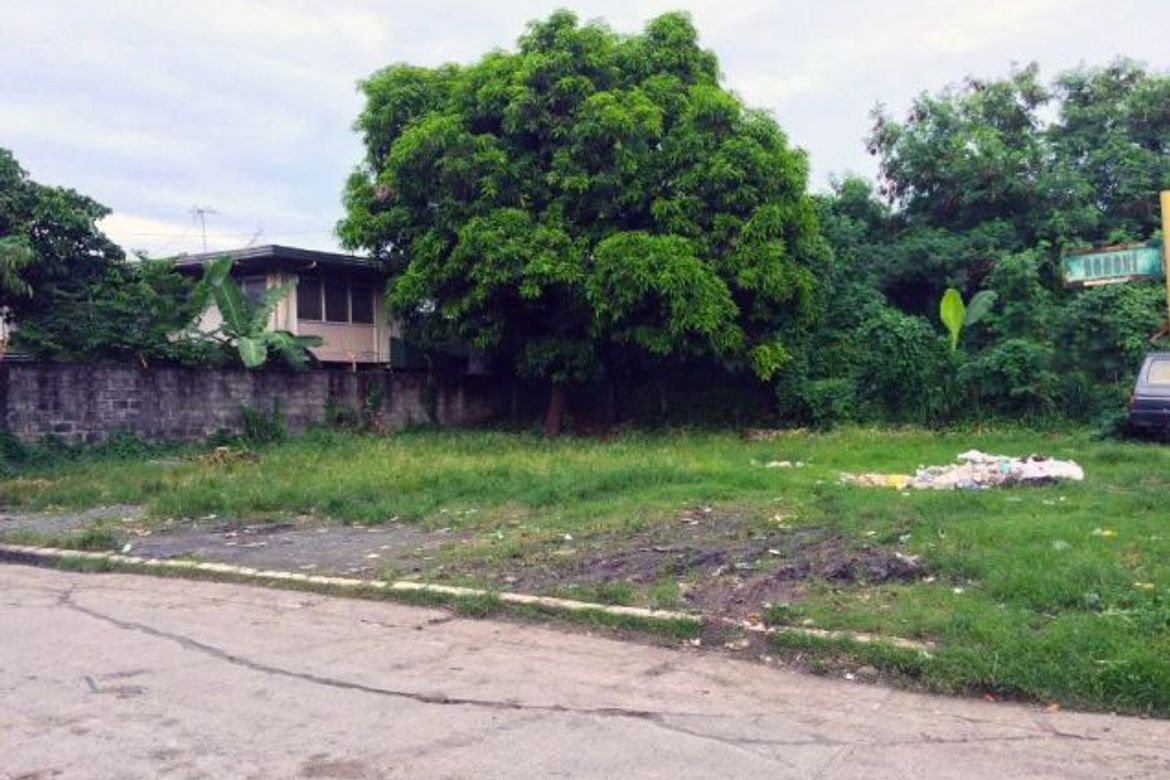 Land for Sale in San Isidro, Parañaque, Metro Manila – photo 6