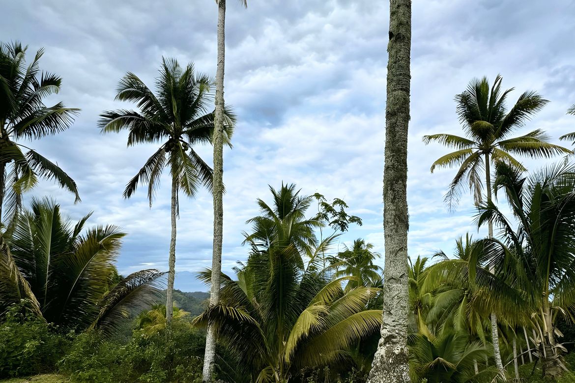 Land for Sale in San Isidro, Samal, Davao del Norte – photo 2