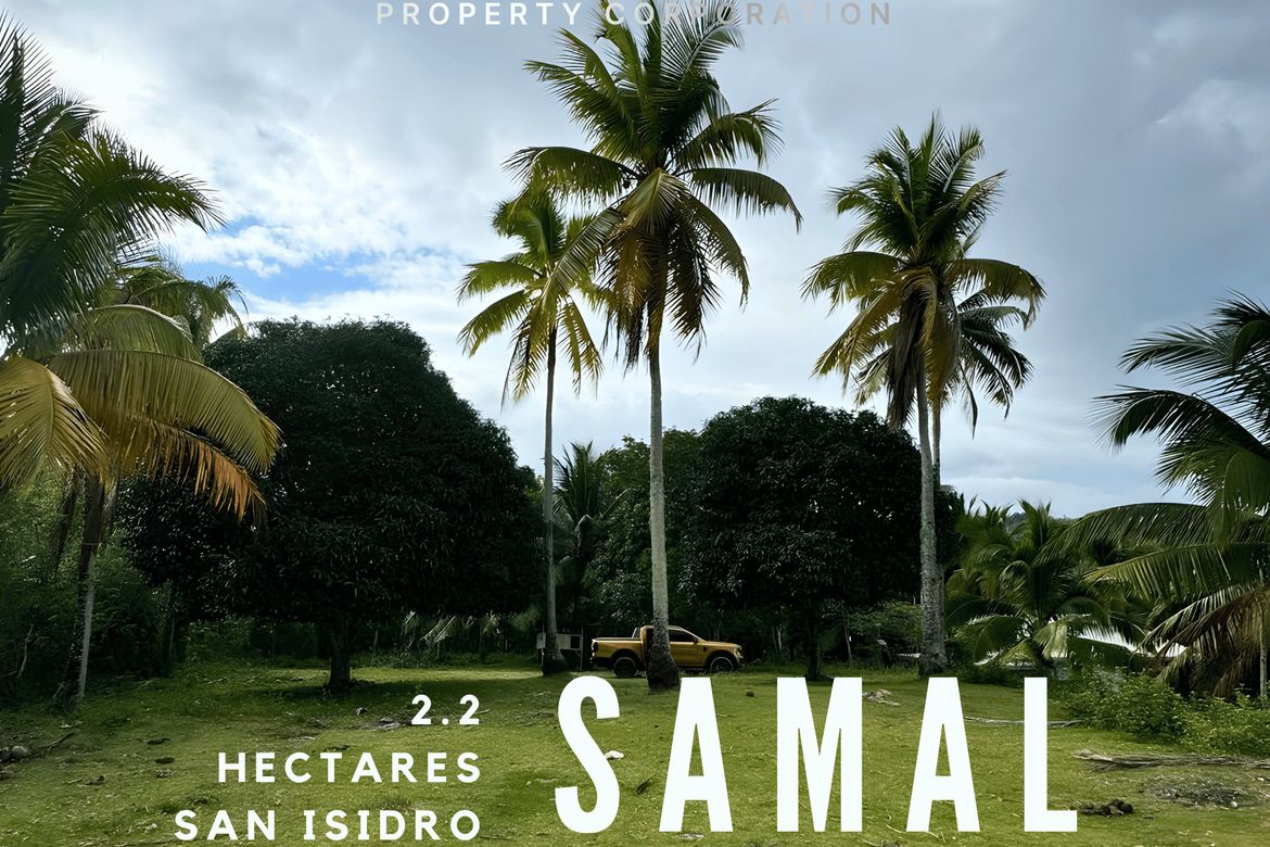 Land for Sale in San Isidro, Samal, Davao del Norte – photo 6