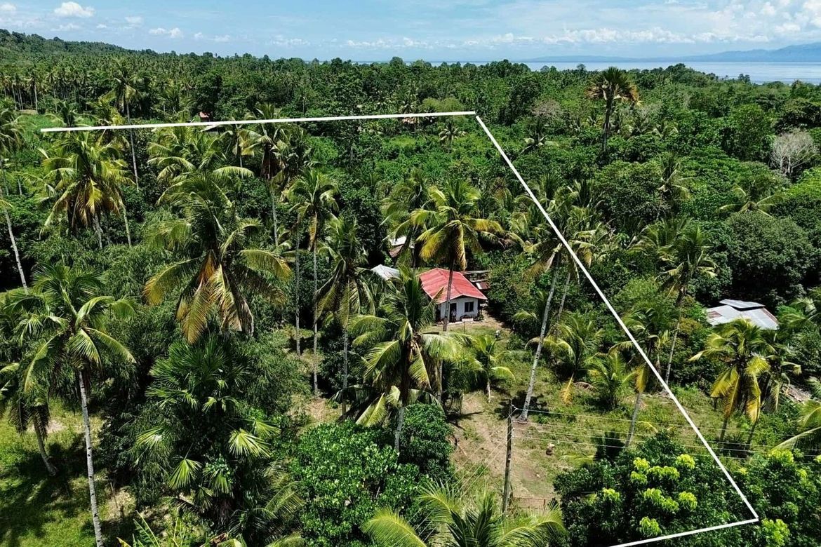 Land for Sale in San Isidro, Samal, Davao del Norte – photo 4