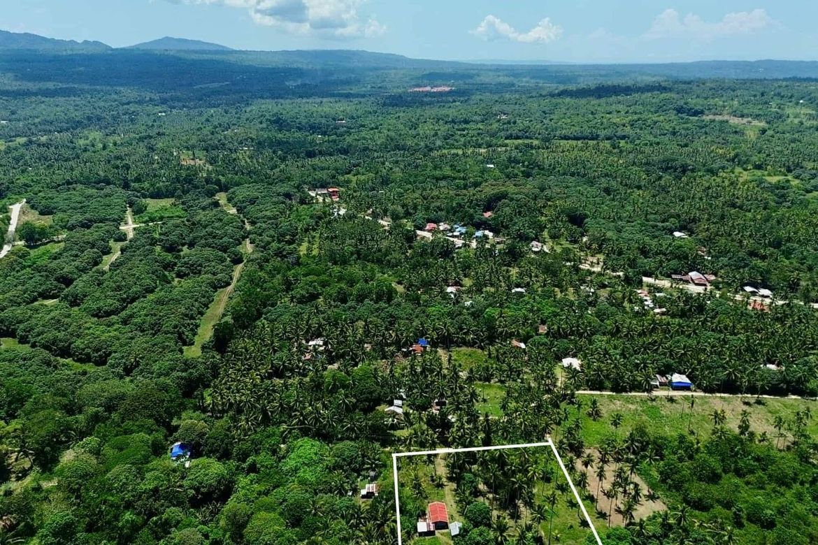 Land for Sale in San Isidro, Samal, Davao del Norte – photo 6