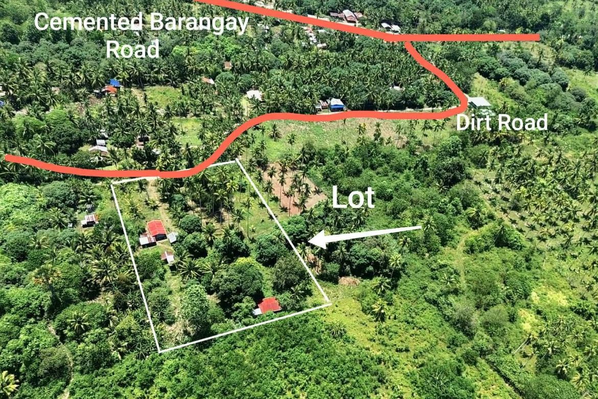 Land for Sale in San Isidro, Samal, Davao del Norte – photo 7