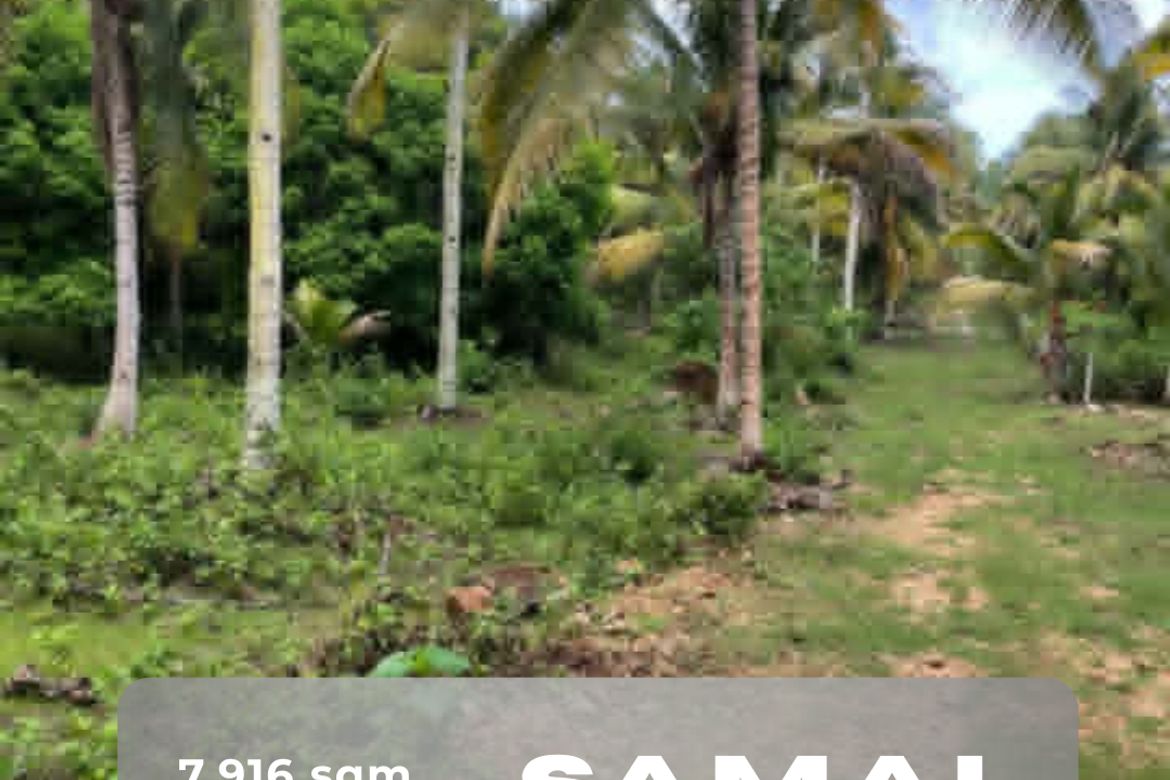 Land for Sale in San Isidro, Samal, Davao del Norte