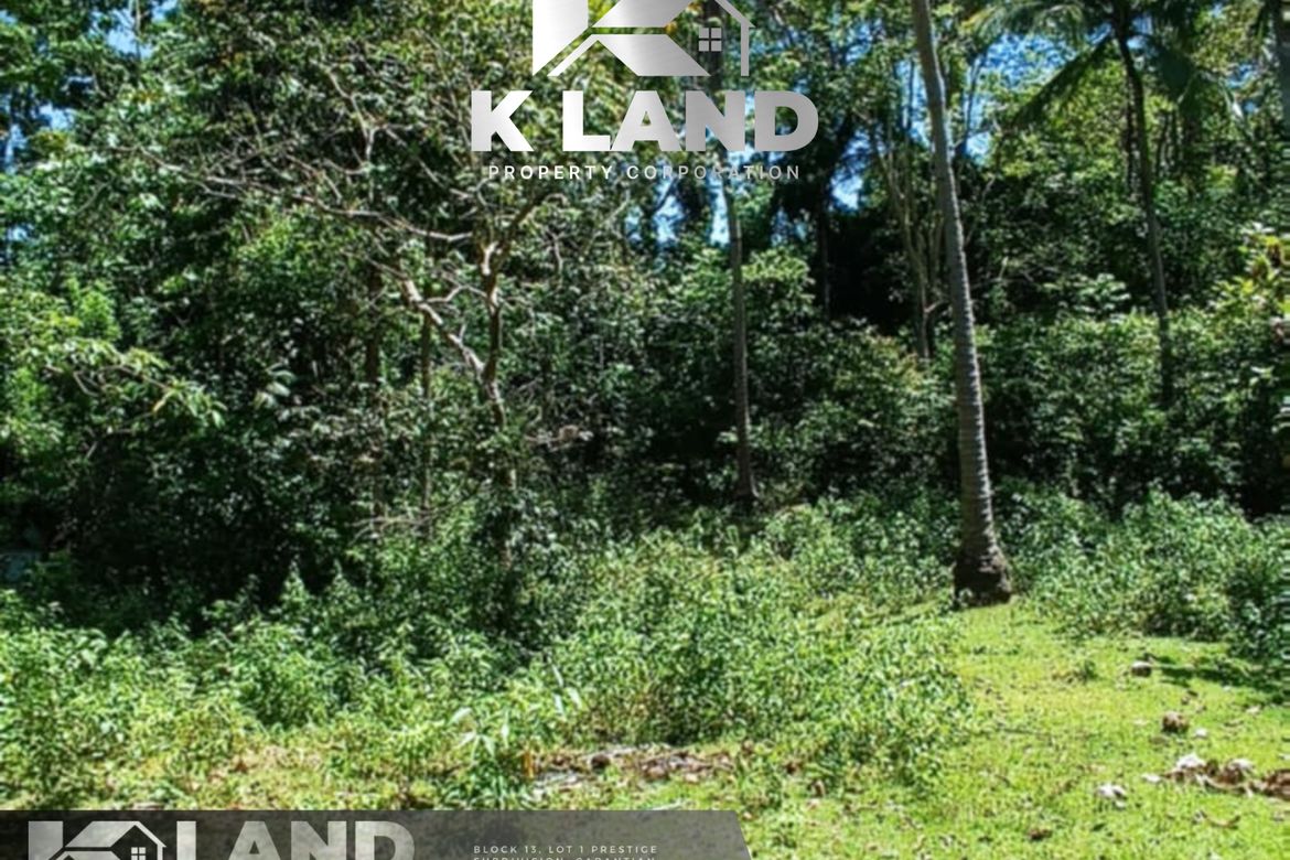 Land for Sale in San Isidro, Samal, Davao del Norte – photo 2