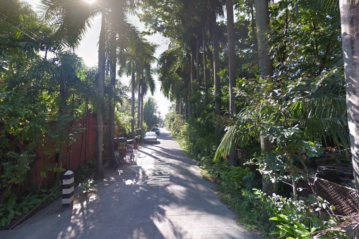 Land for Sale in San Isidro, San Fernando, Pampanga – photo 6