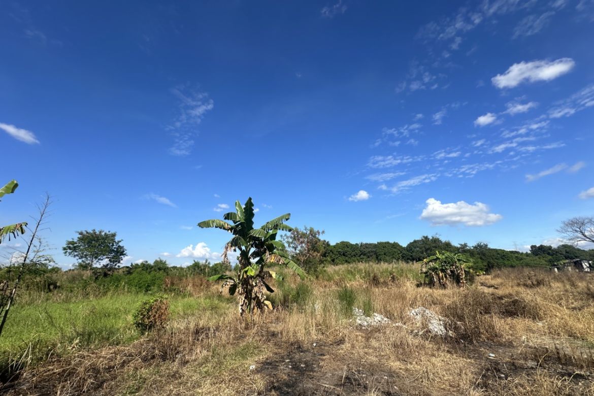 Land for Sale in San Isidro, San Fernando, Pampanga – photo 5