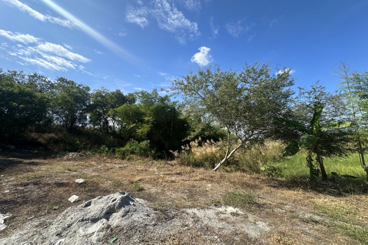 Land for Sale in San Isidro, San Fernando, Pampanga – photo 6