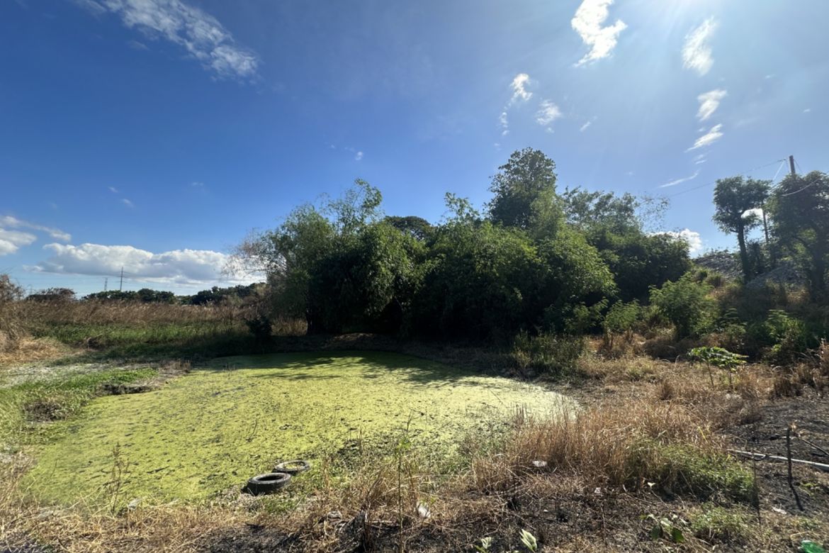 Land for Sale in San Isidro, San Fernando, Pampanga – photo 7