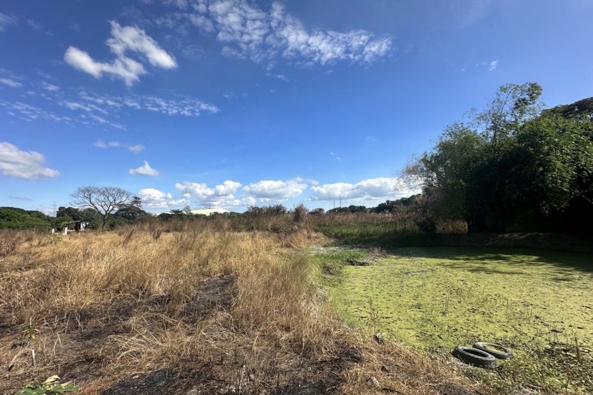 Land for Sale in San Isidro, San Fernando, Pampanga – photo 8