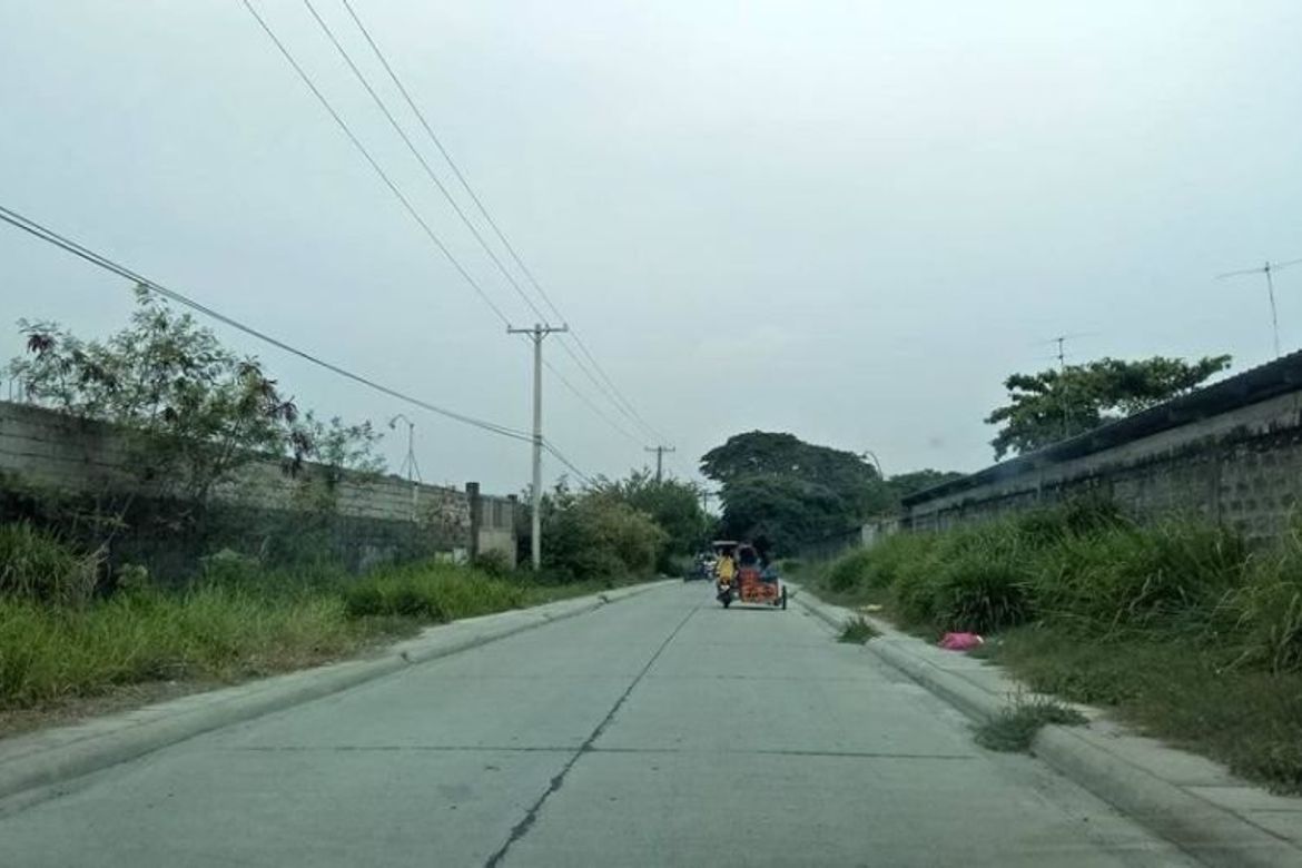 Land for Sale in San Isidro, San Fernando, Pampanga – photo 6