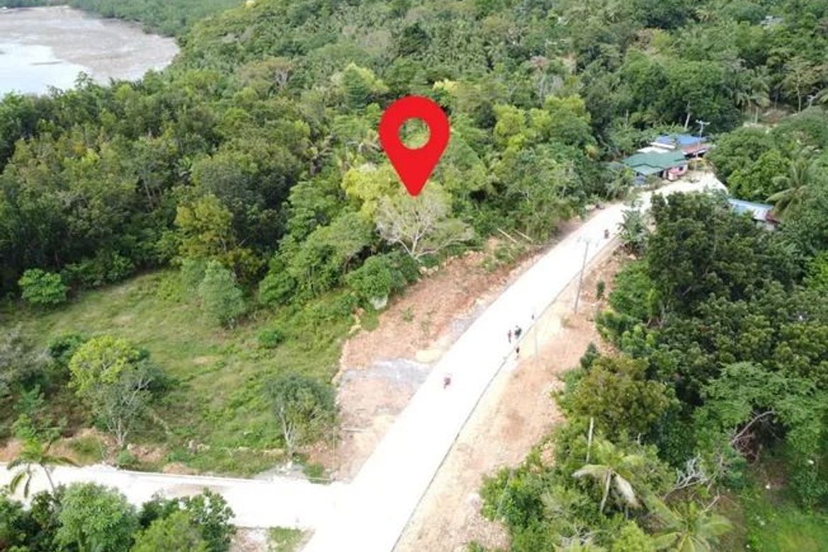 Land for Sale in San Isidro, San Francisco, Cebu