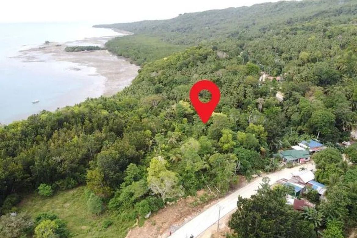 Land for Sale in San Isidro, San Francisco, Cebu – photo 2