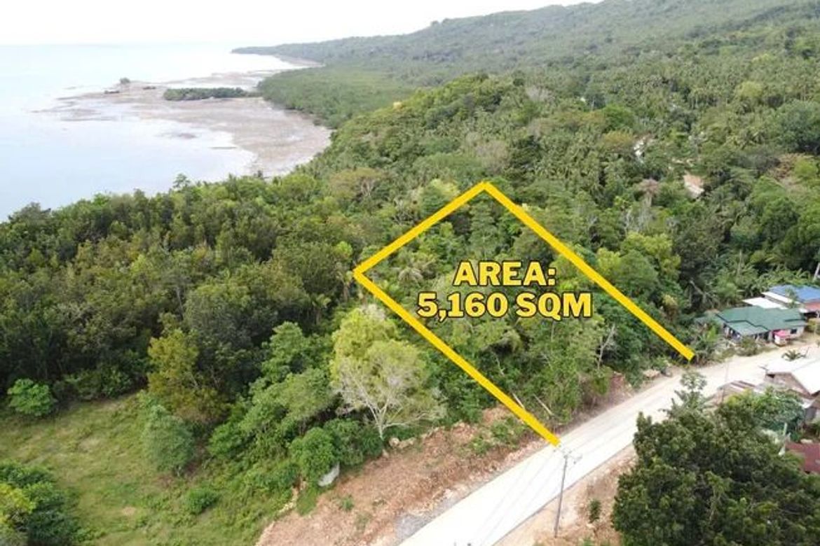 Land for Sale in San Isidro, San Francisco, Cebu – photo 3