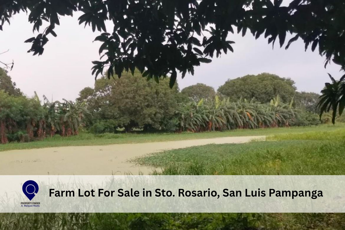 Land for Sale in San Isidro, San Luis, Pampanga
