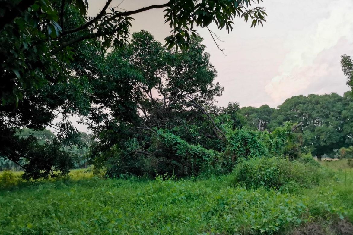 Land for Sale in San Isidro, San Luis, Pampanga – photo 5