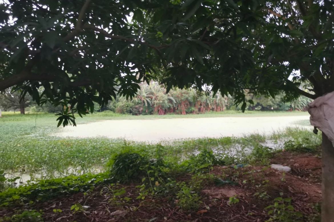 Land for Sale in San Isidro, San Luis, Pampanga – photo 6