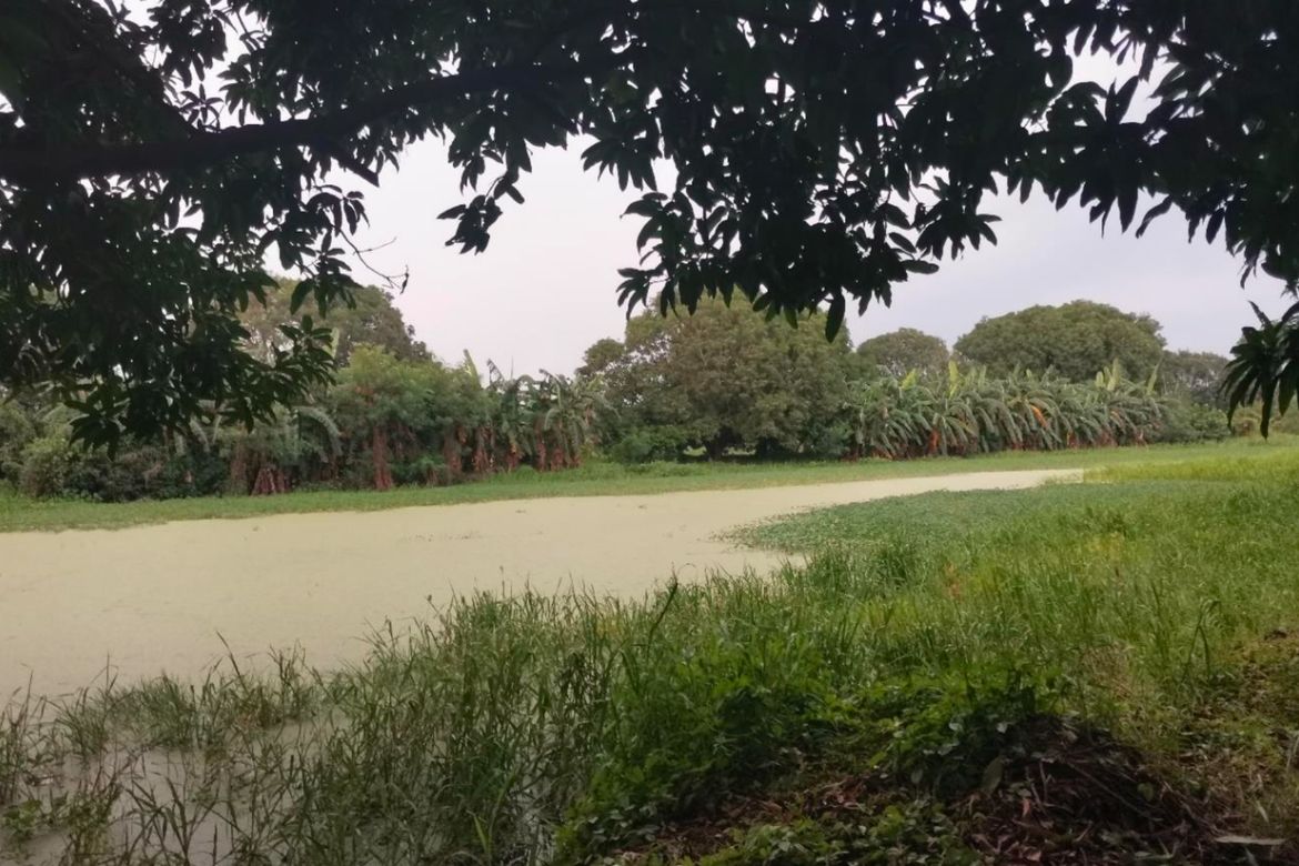 Land for Sale in San Isidro, San Luis, Pampanga – photo 7