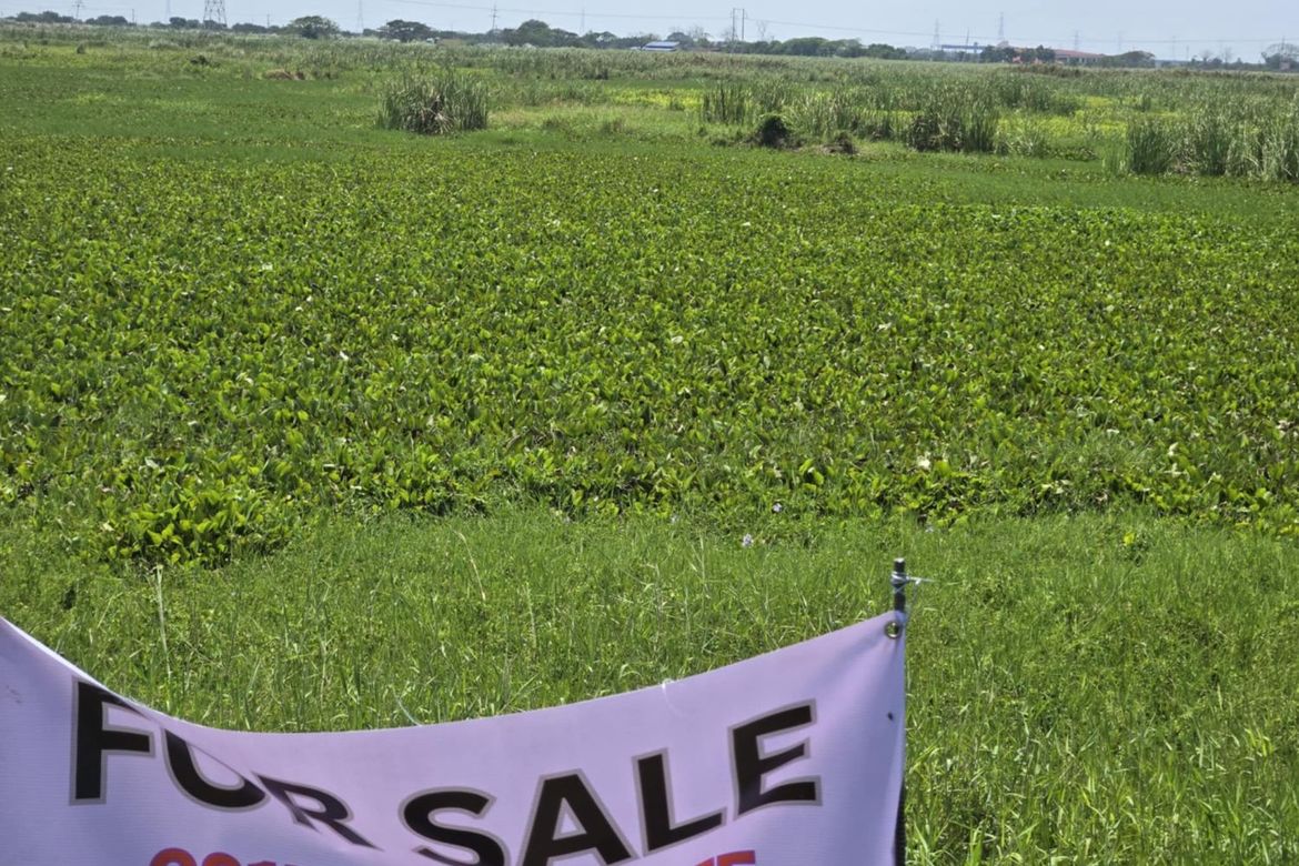 Land for Sale in San Isidro, San Simon, Pampanga – photo 3