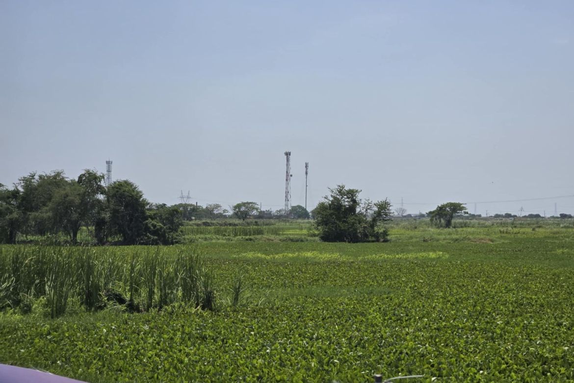 Land for Sale in San Isidro, San Simon, Pampanga – photo 5