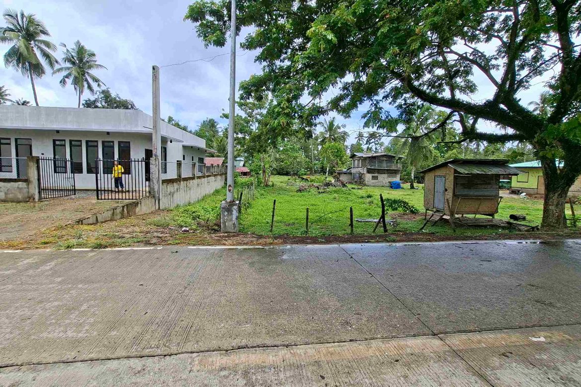 Land for Sale in San Isidro, San Vicente, Palawan