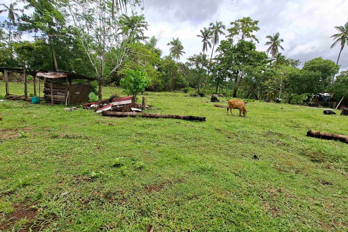 Land for Sale in San Isidro, San Vicente, Palawan – photo 2
