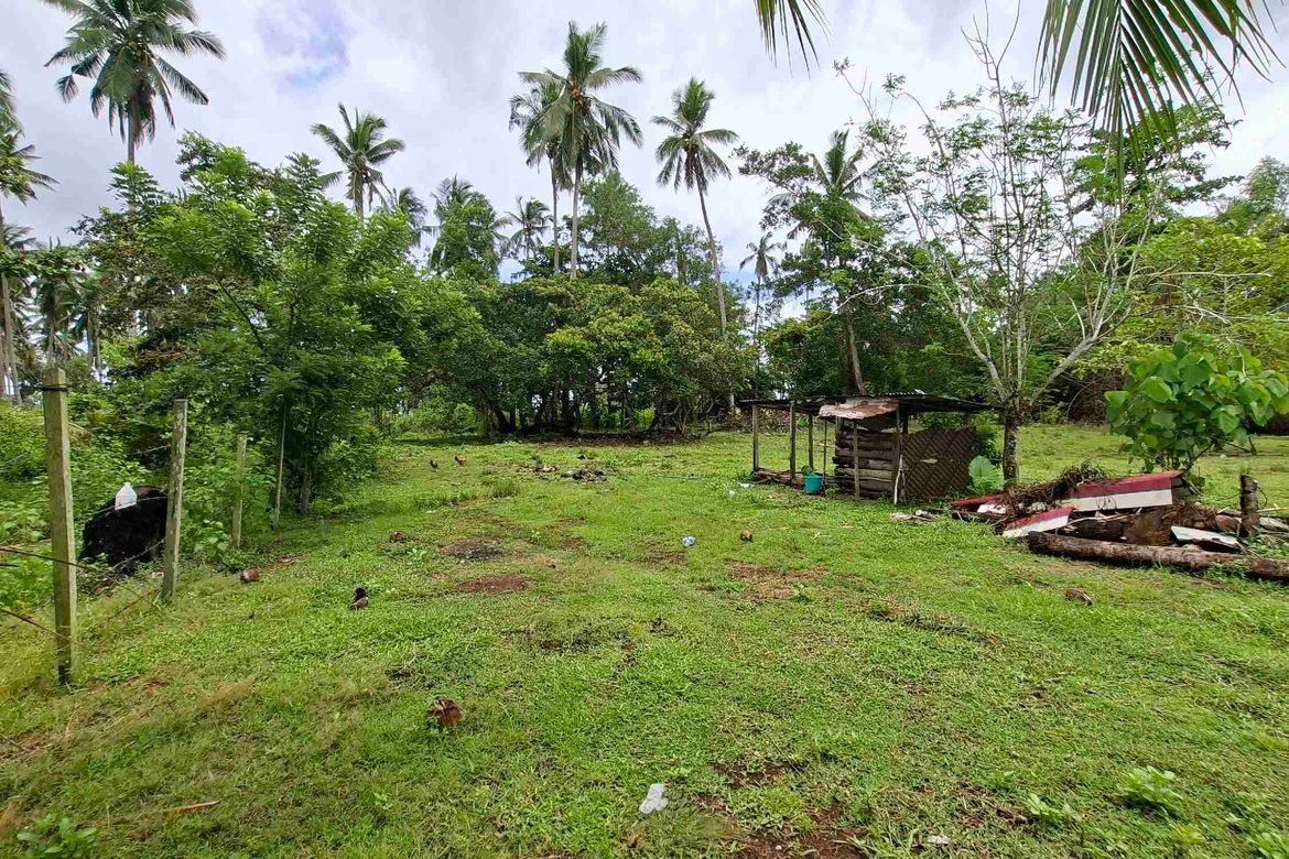 Land for Sale in San Isidro, San Vicente, Palawan – photo 3