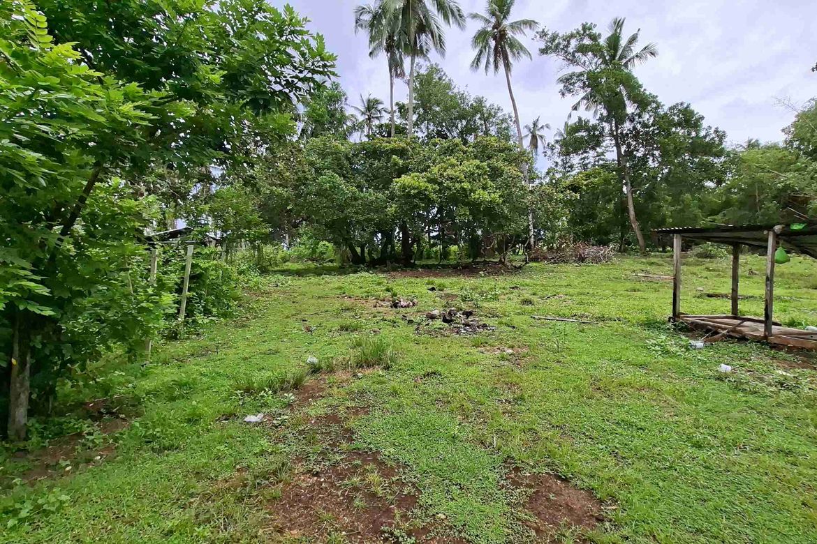 Land for Sale in San Isidro, San Vicente, Palawan – photo 6