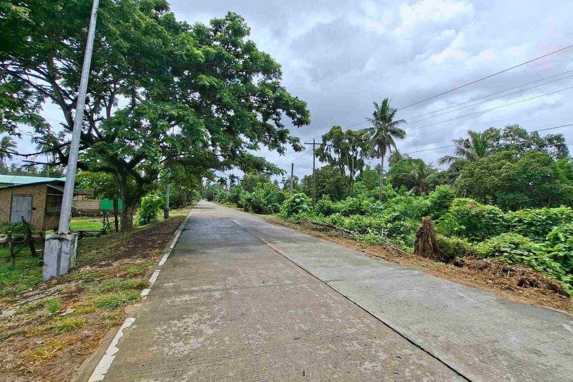 Land for Sale in San Isidro, San Vicente, Palawan – photo 8