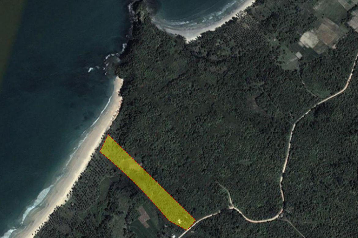 Land for Sale in San Isidro, San Vicente, Palawan – photo 4
