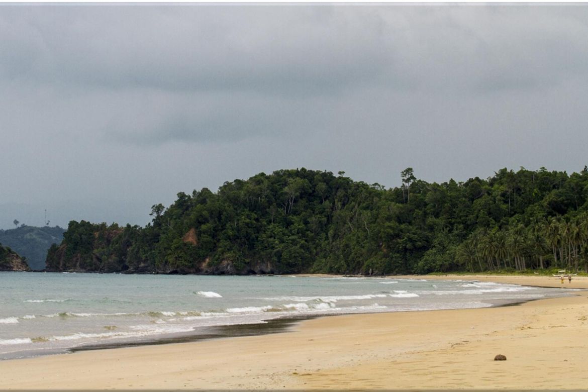 Land for Sale in San Isidro, San Vicente, Palawan – photo 6
