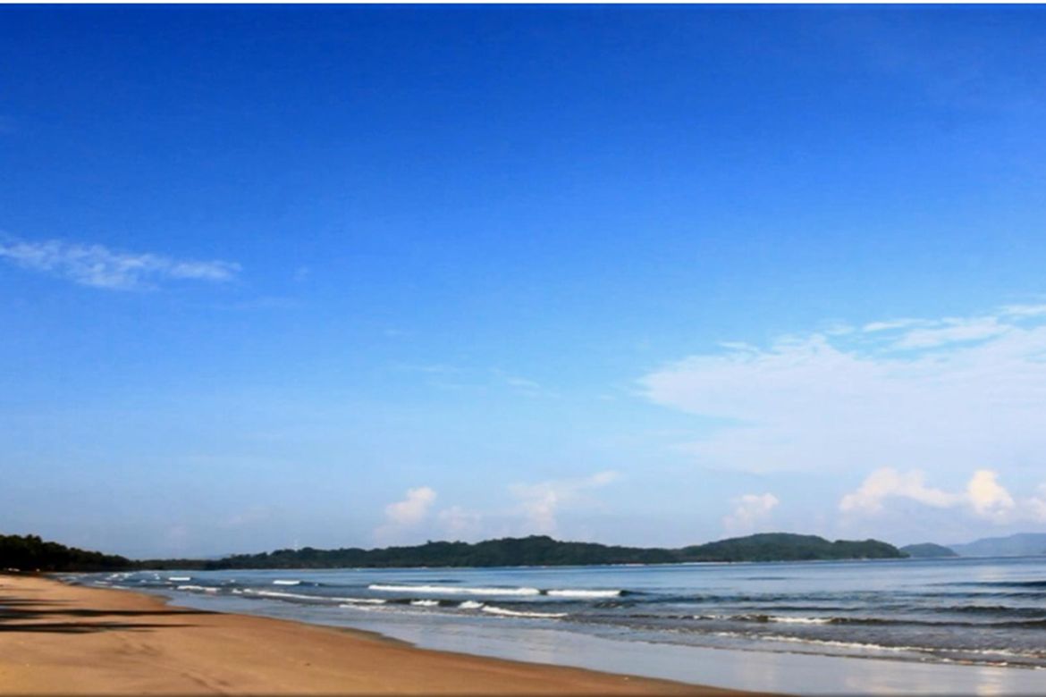 Land for Sale in San Isidro, San Vicente, Palawan – photo 7