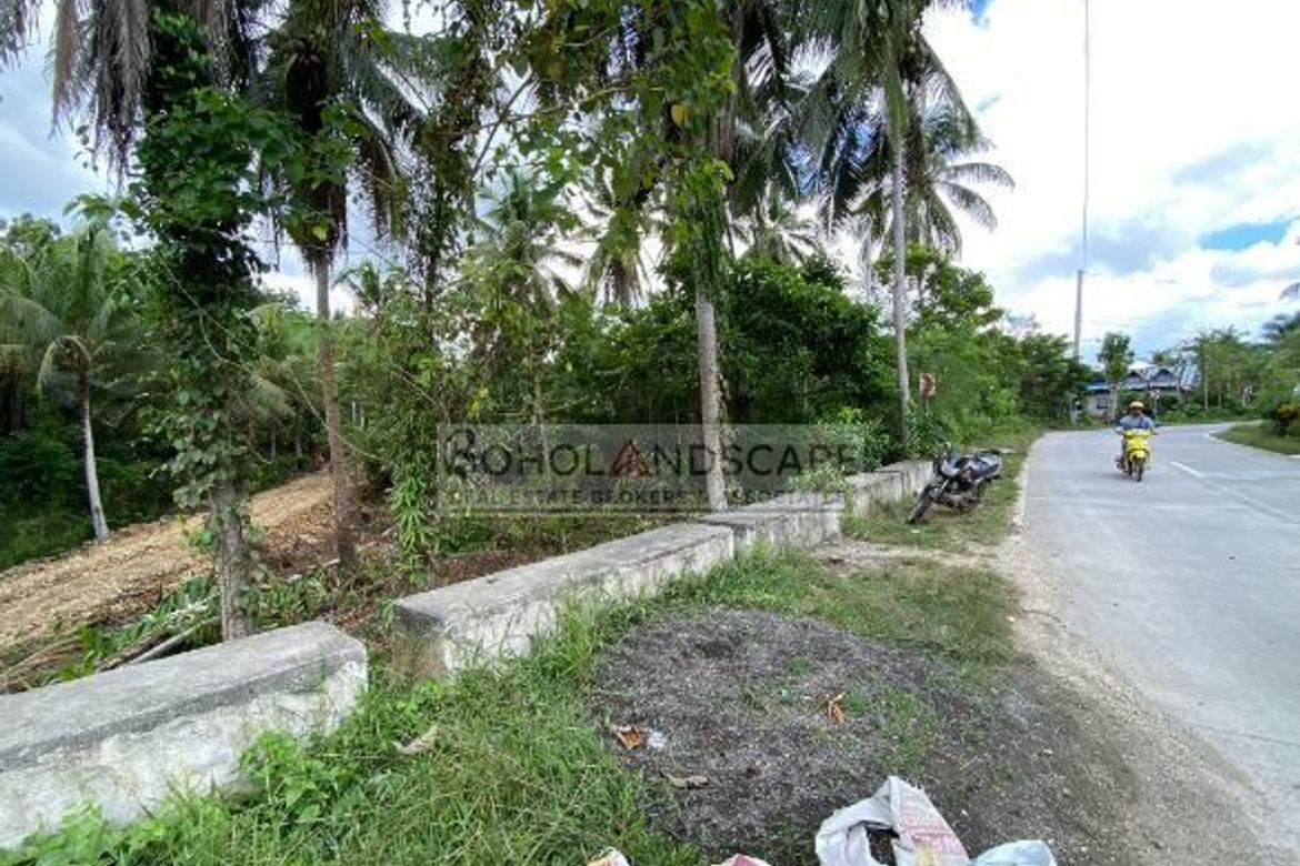 Land for Sale in San Isidro, Tagbilaran, Bohol
