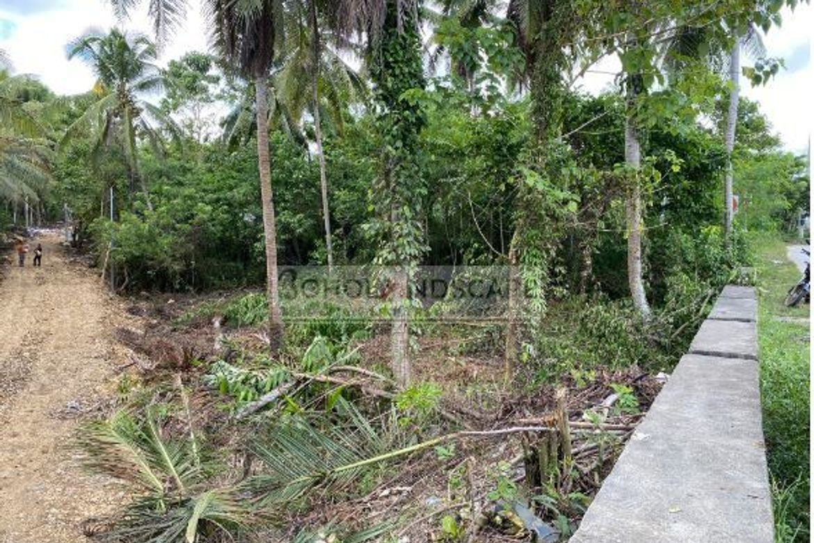 Land for Sale in San Isidro, Tagbilaran, Bohol – photo 2